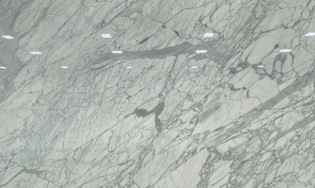 Calacatta Belgia slab